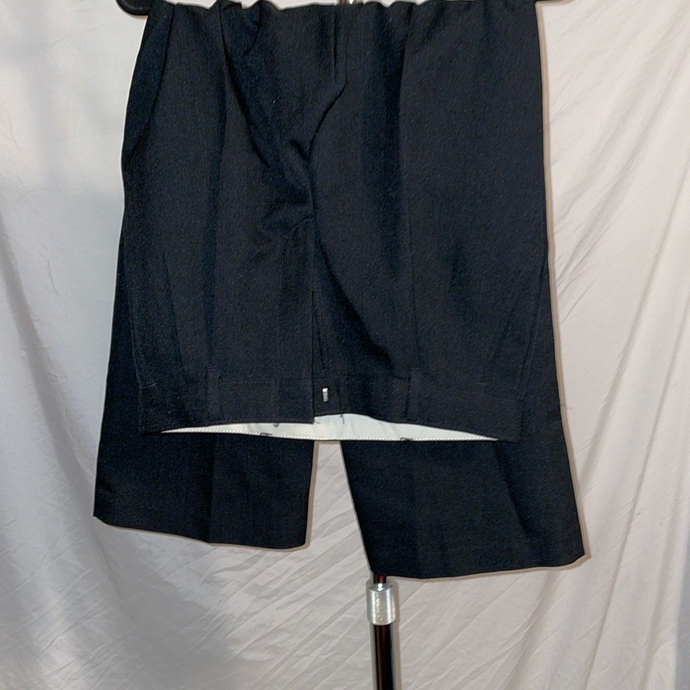 Dress pants